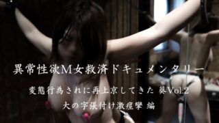 Thumbnail of post image 135